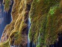 Bemooste Travertinwände mit Wasserfallschleier - Schleierfall / Saulgrub